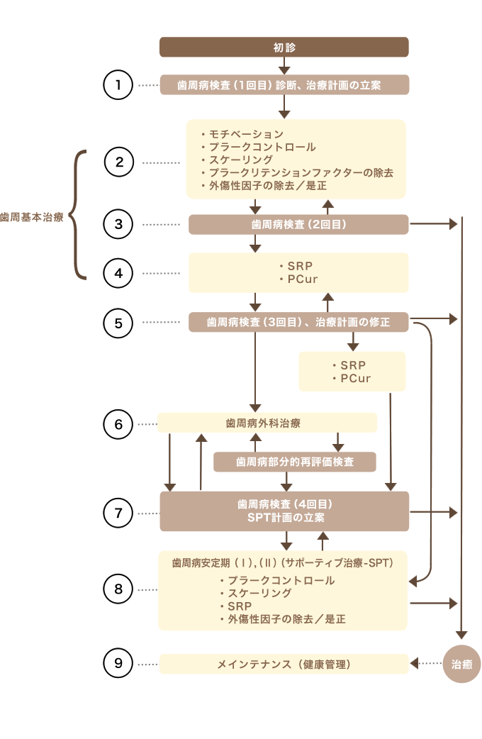 歯周病治療の流れ