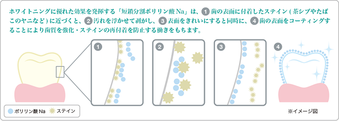 ポリリン酸Naの様々な効果
