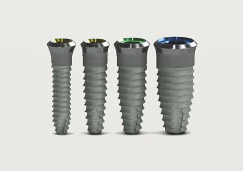 フィクスチャー