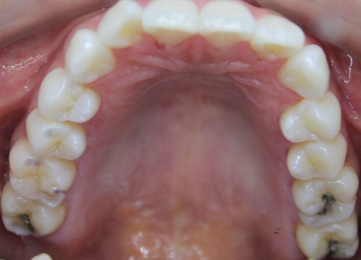 アンチエイジングから身体にいいものまで・・・